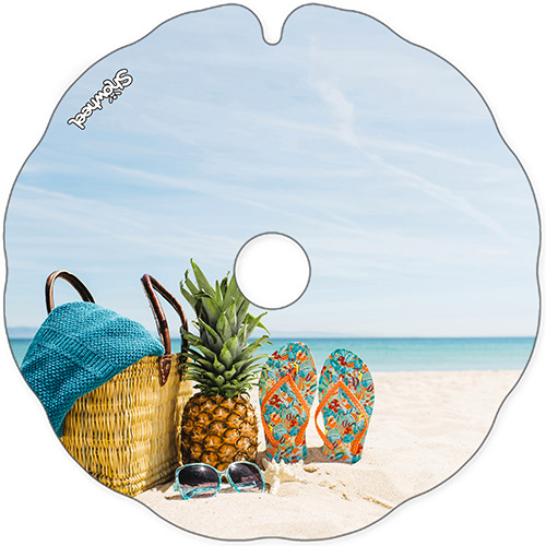 plage_ananas_flasque_fauteuil_roulant_02