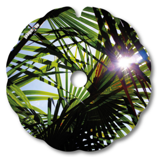 soleil_palmier_fauteuil_roulant_02