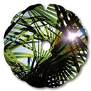 soleil_palmier_fauteuil_roulant_02
