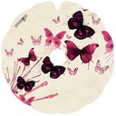 papillons_flasque_fauteuil_roulant_02