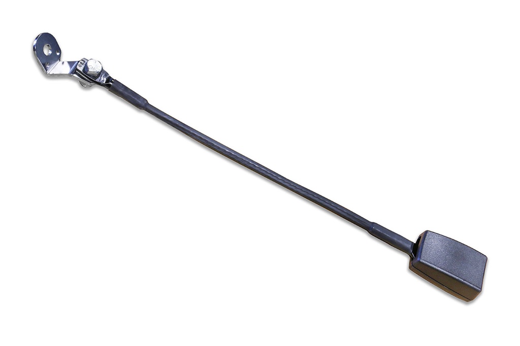 Tulipe de ceinture Dahl