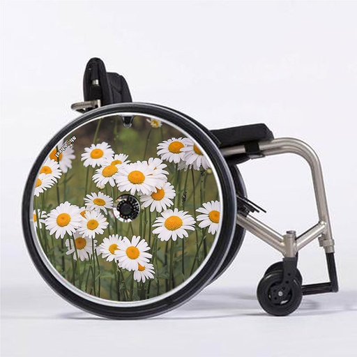 [FFR_paquerettes] Flasques Pâquerettes