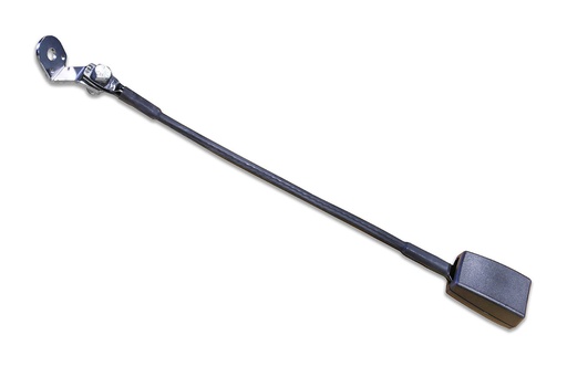 [503668] Tulipe de ceinture Dahl